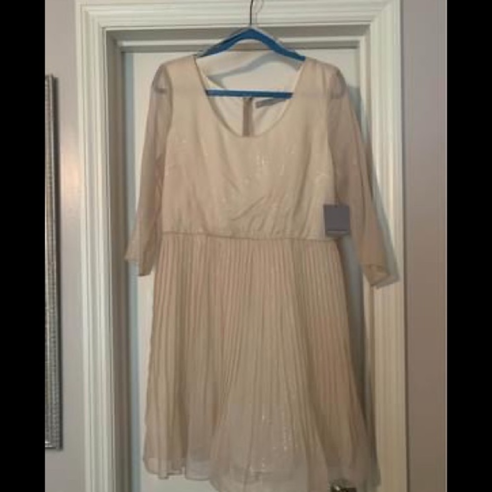 Cream & shimmer Andrew Marc dress.